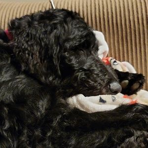 Meet your Posher, Sara